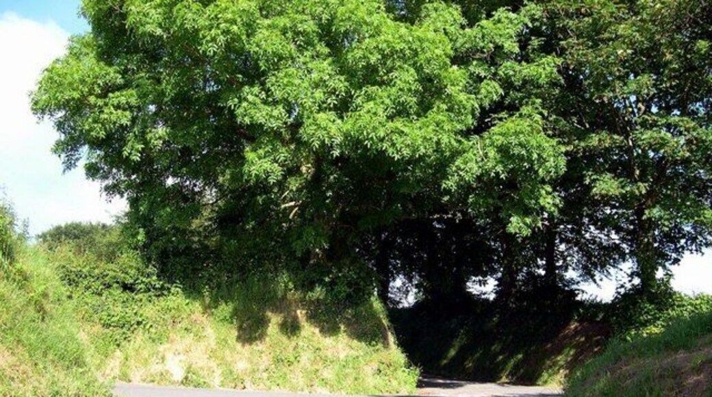 Road junction above Rhydowen