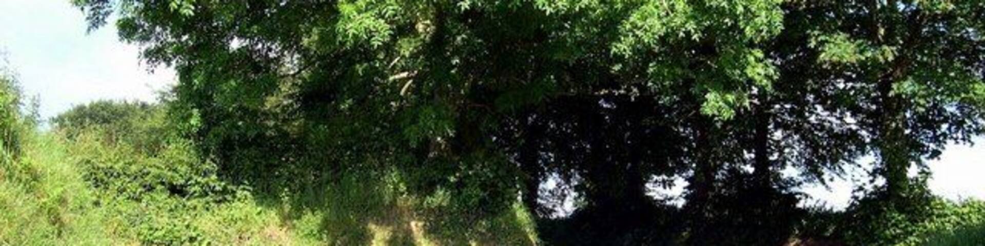 Road junction above Rhydowen