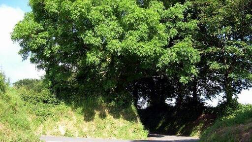 Road junction above Rhydowen