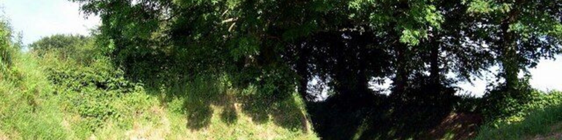 Road junction above Rhydowen