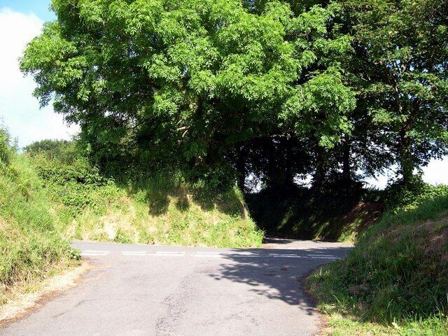 A rural road with a large tree overhanging the center.