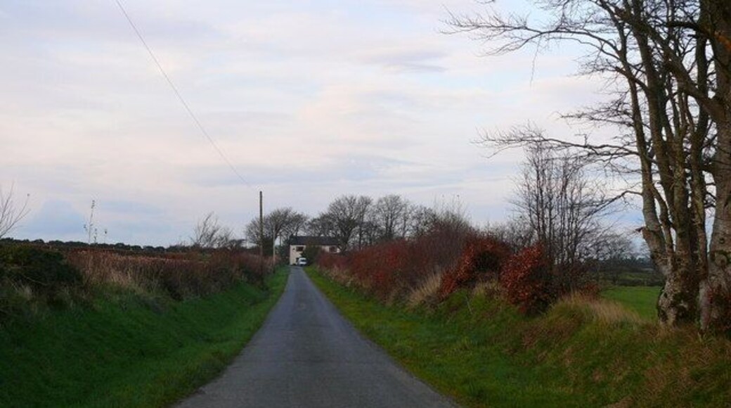 Lon bach ger Talgarreg / Small lane near Talgarreg Lon bach gyda Penlon yn y pellter / Small lane with Penlon in the distance.