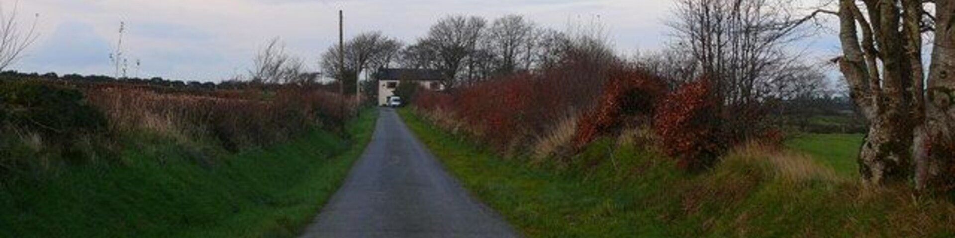 Lon bach ger Talgarreg / Small lane near Talgarreg Lon bach gyda Penlon yn y pellter / Small lane with Penlon in the distance.