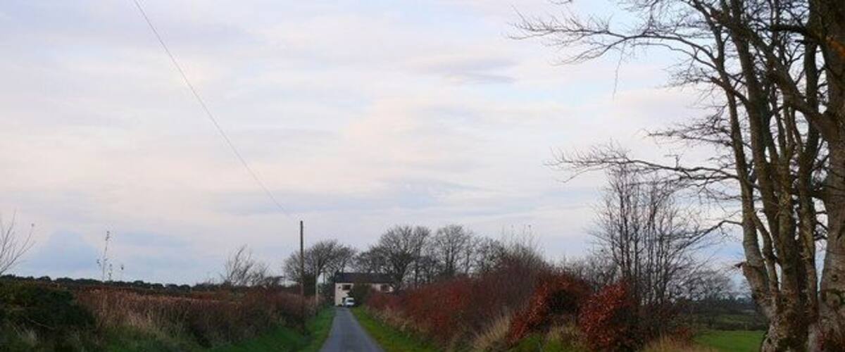 A narrow rural road flanked by fields and trees.