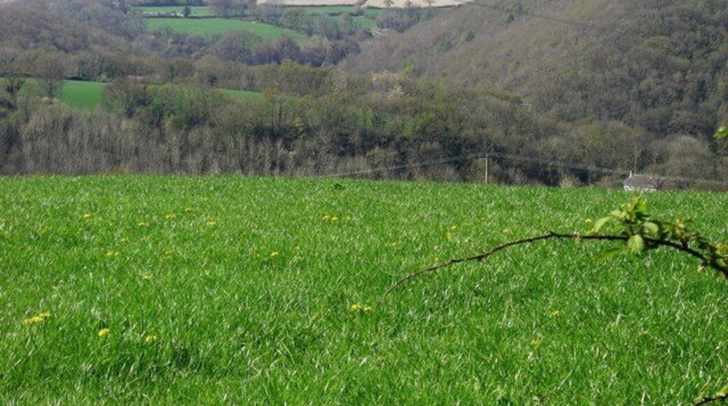 View Over Pasture Pasture land to the side of this country road. On the hilltops in the distance you can see the three wind turbines to the south-east in grid square SN3235.