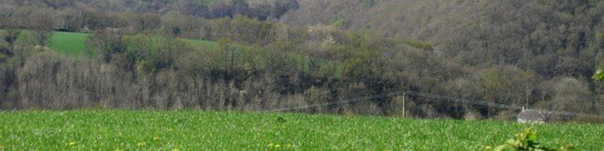 View Over Pasture Pasture land to the side of this country road. On the hilltops in the distance you can see the three wind turbines to the south-east in grid square SN3235.