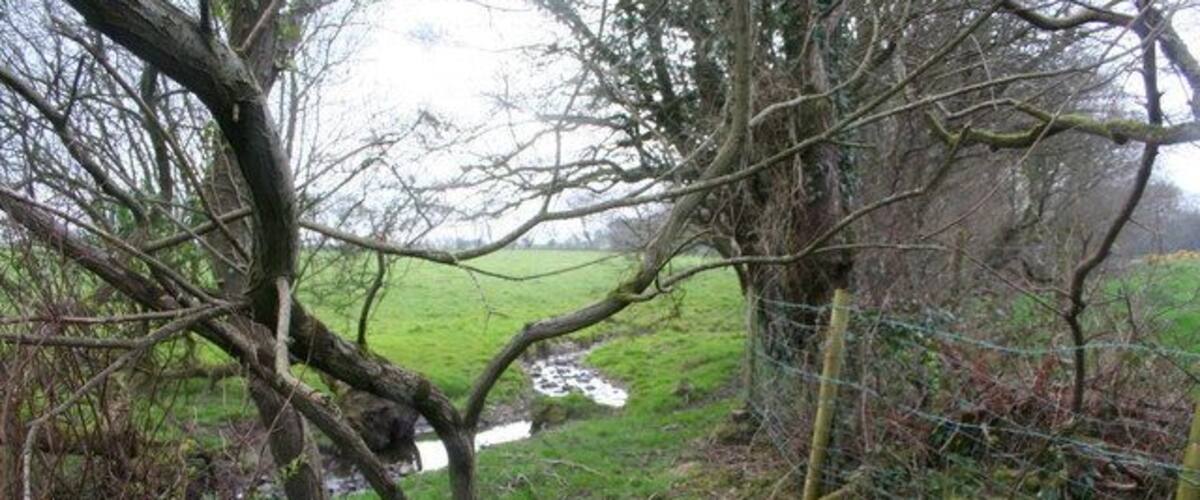 A rural landscape with a stream, a fence, and trees.