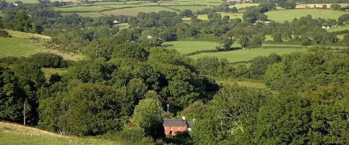 A rural landscape with rolling hills, dense forests, and a small red house surrounded by greenery.