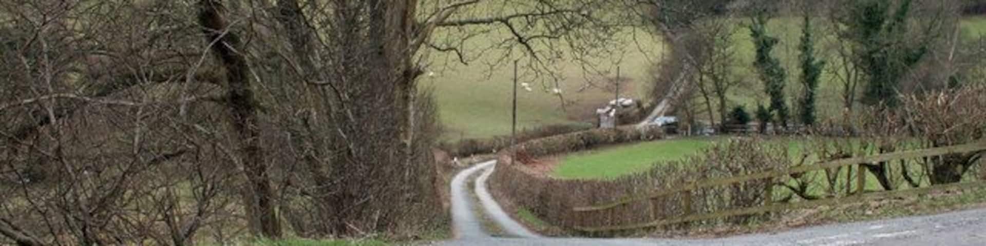 Turn Off Left turn to Coed Llawr-y-cwm off the B4393 to Lake Vyrnwy.