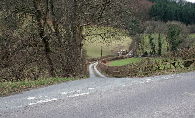 A rural road curving through a landscape with trees and a fence.