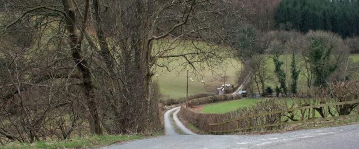 A rural road curving through a landscape with trees and a fence.