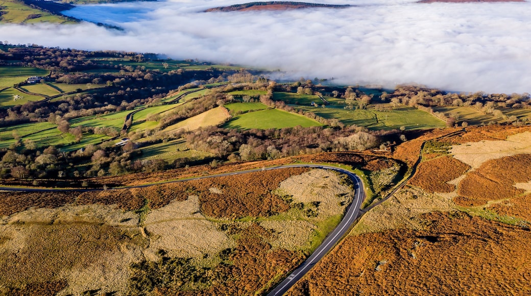 Une route sinueuse qui serpente à travers des collines verdoyantes, avec des champs et un ciel nuageux en contrebas.