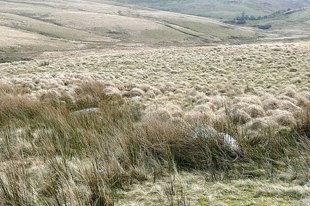 Above Nant Talar From the former drove road. It is all rough grazing up here. The view is into Nant Talar, coming in from the left, towards the point where it joins Nant Bran. The area is not often open to the public but it is a non-firing day and the red flags are down.