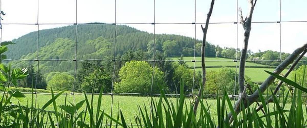 A green field with a wire fence and trees in the background.