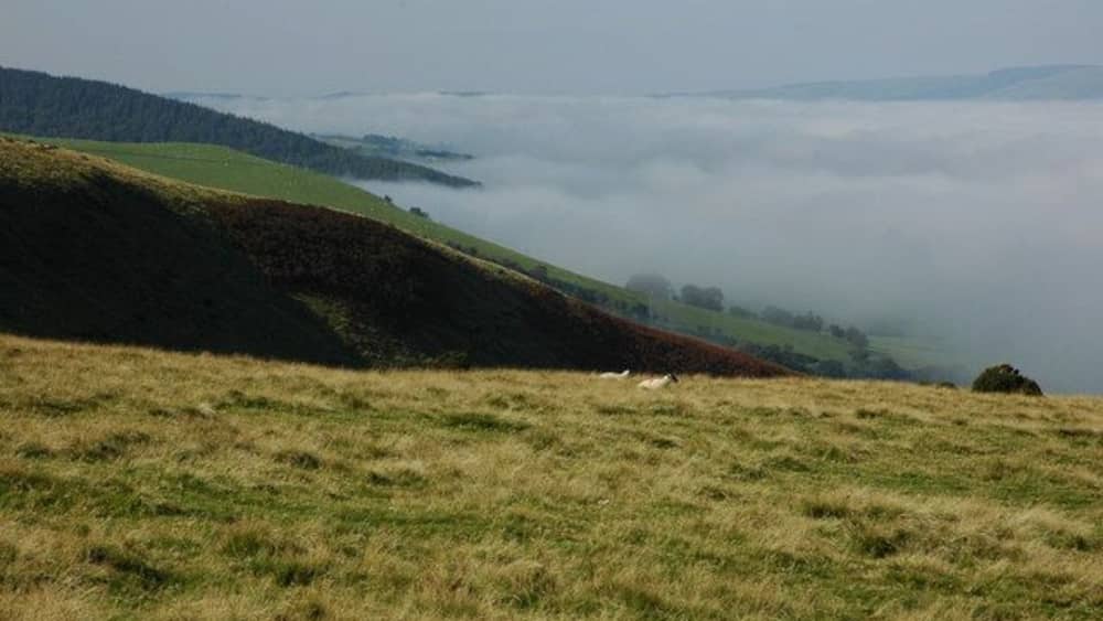 A grassy hillside with a sheep grazing, rolling hills, and a valley shrouded in mist.