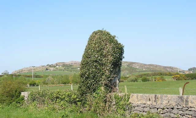 Maen Hir Maenaddwyn Menhir A 'menhir' an anglicised form of the Welsh 'Maen Hir' (lit. long stone)dates back to the Bronze Age and possibly marks the site of a burial. It is this 10' high stone which gives Maenaddwyn its name (maen = stone + Addwyn a personal name). Who Addwyn was is not recorded.