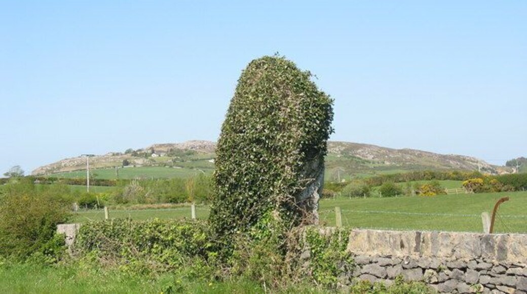 Maen Hir Maenaddwyn Menhir A 'menhir' an anglicised form of the Welsh 'Maen Hir' (lit. long stone)dates back to the Bronze Age and possibly marks the site of a burial. It is this 10' high stone which gives Maenaddwyn its name (maen = stone + Addwyn a personal name). Who Addwyn was is not recorded.