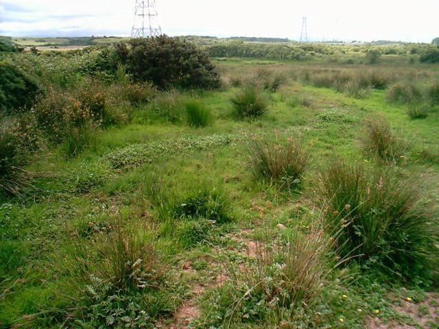 Cors Erddreiniog. A view across Cors Erddreiniog from near Capel Mawr indirection of Llyn yr Wyth-eidion.