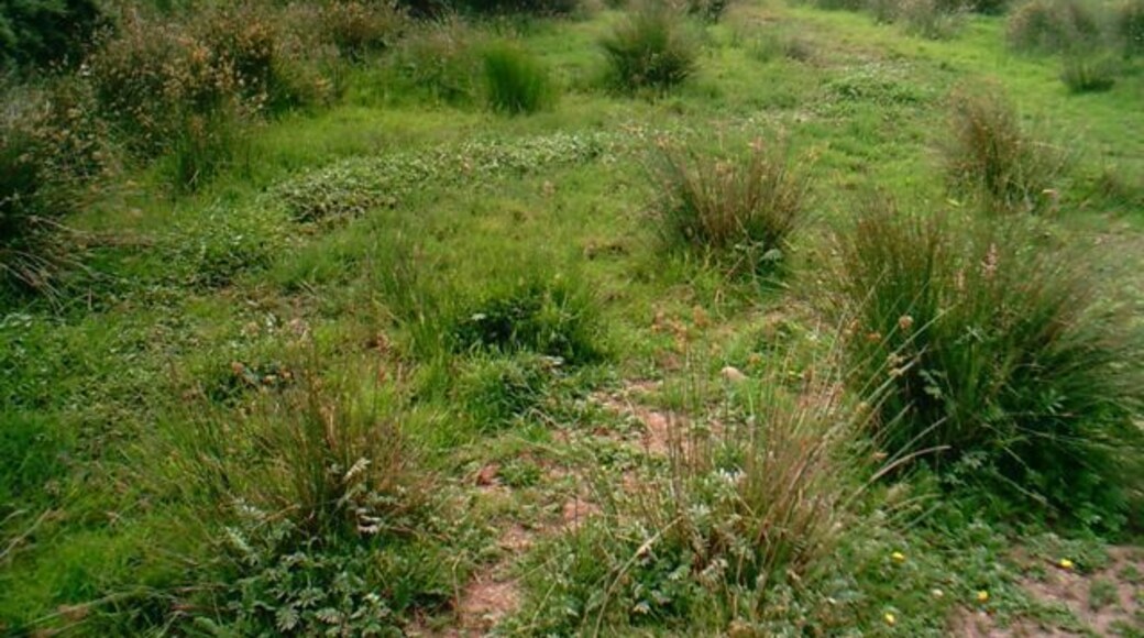 Cors Erddreiniog. A view across Cors Erddreiniog from near Capel Mawr indirection of Llyn yr Wyth-eidion.