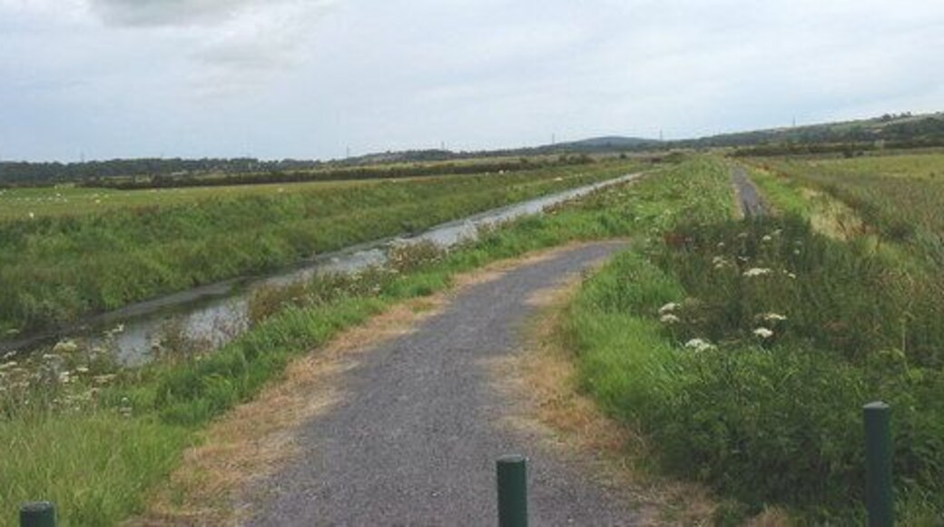 Cycle and walking path on the eastern embankment of Afon Cefni