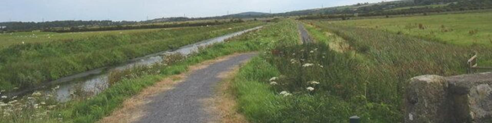 Cycle and walking path on the eastern embankment of Afon Cefni