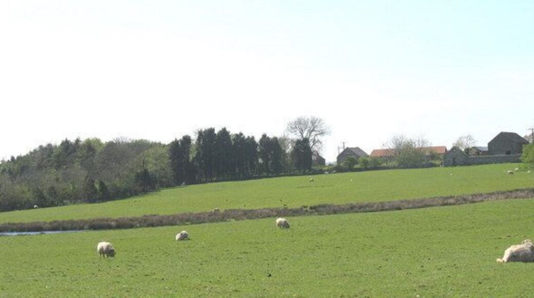 Fferm Plas Llanfihangel The name 'plas' (mansion) is given many large farmhouses in Wales as well as to the large country houses of the gentry.