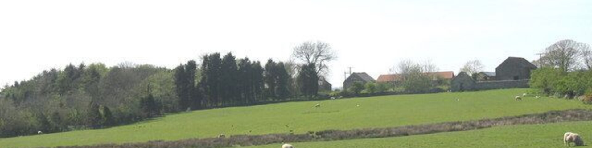 Fferm Plas Llanfihangel The name 'plas' (mansion) is given many large farmhouses in Wales as well as to the large country houses of the gentry.