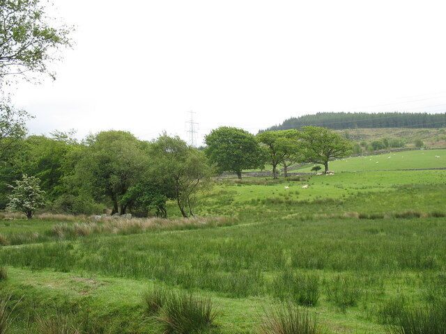 View across the valley towards Coed Caersaeson