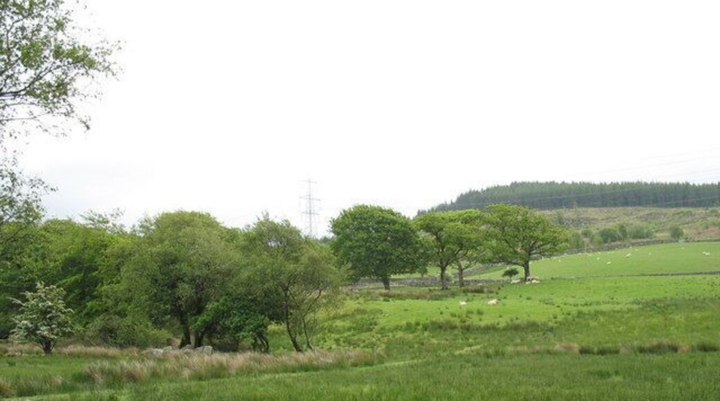 View across the valley towards Coed Caersaeson