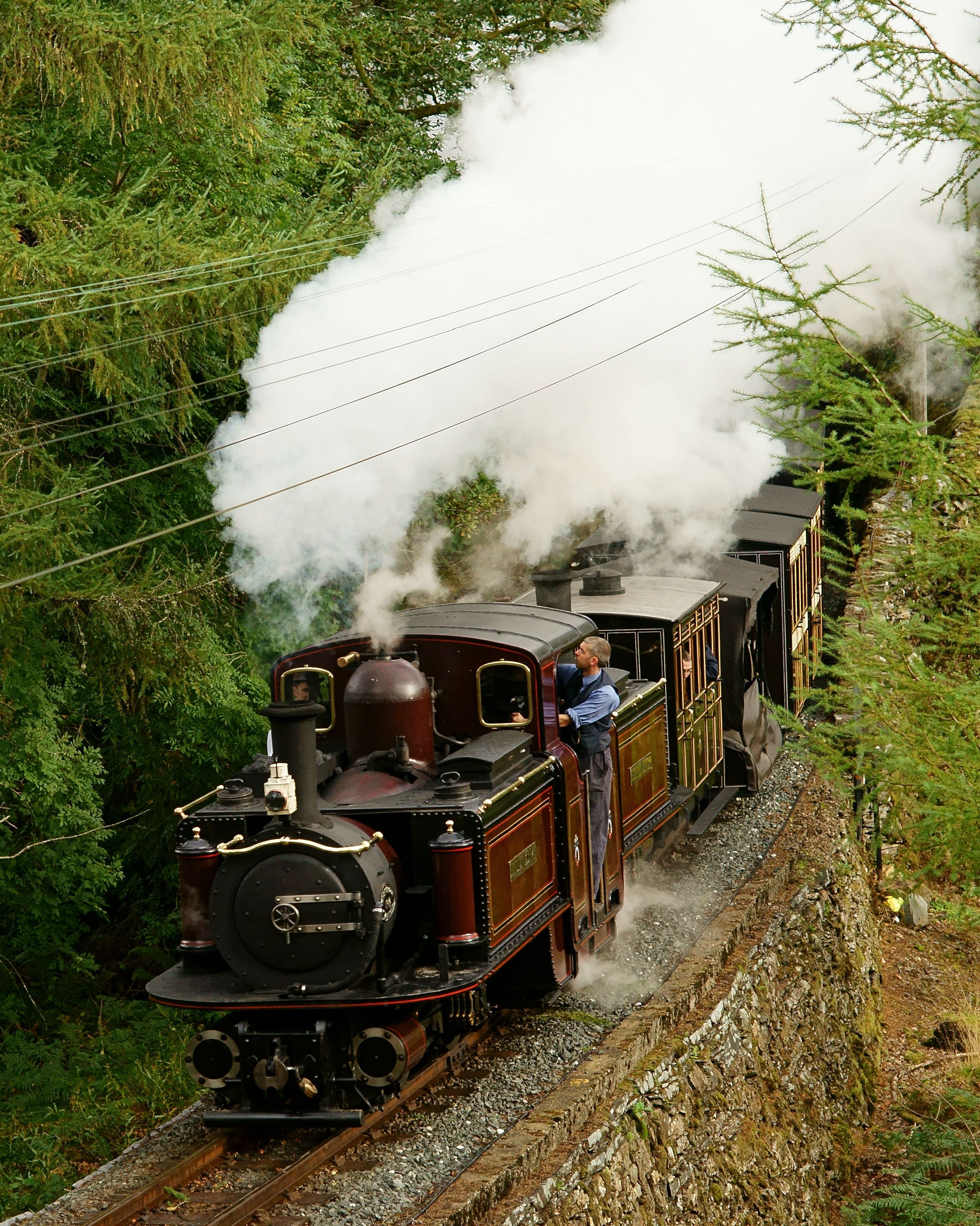 Eine Dampflokomotive mit einem Mann an der Spitze, die durch eine bewaldete Gegend fährt.