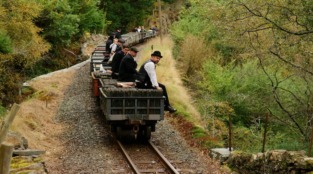 Gravity train descends from Tan-y-Bwlch.