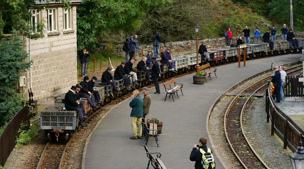Gravity train at Tan-y-Bwlch.