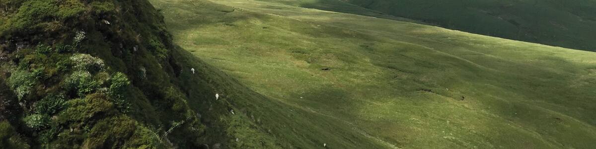 A valley with rolling hills and a clear sky.