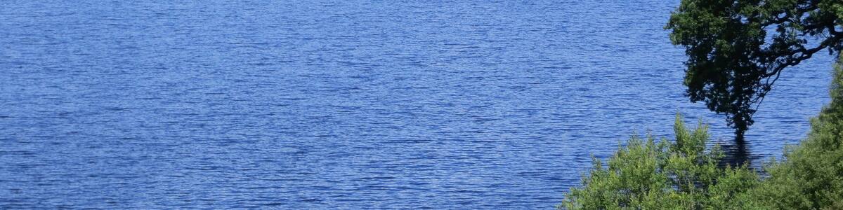 From the Brecon Mountain Railway - 27th July 2012