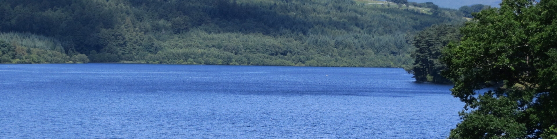 From the Brecon Mountain Railway - 27th July 2012