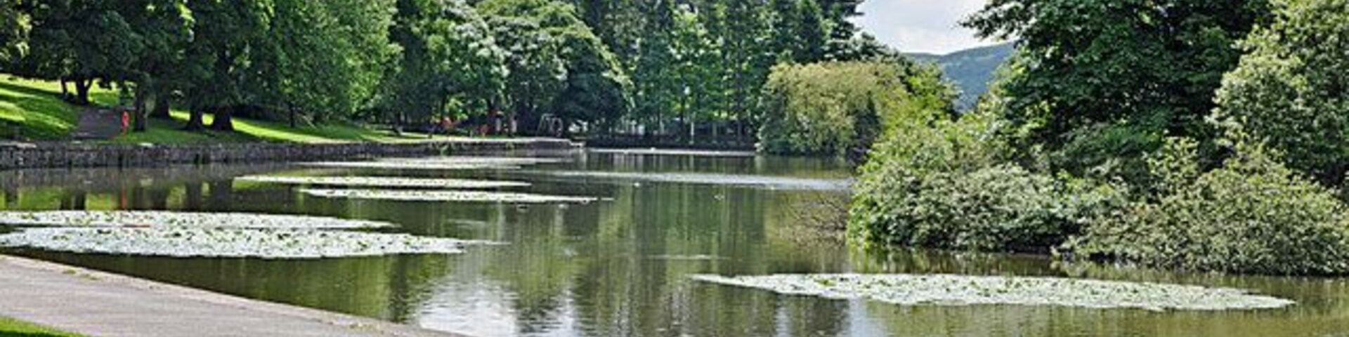 A park with a pond, green grass, trees, and a pathway.