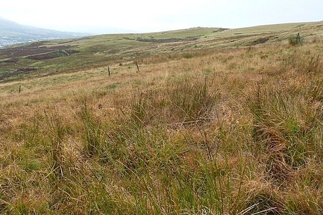 South-western slope of Mynydd Aberdare This shows most of the square, the south-western slopes of Mynydd Aberdare. Mainly grassy moorland getting soggy lower down.