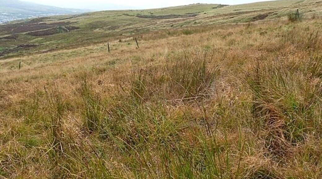South-western slope of Mynydd Aberdare This shows most of the square, the south-western slopes of Mynydd Aberdare. Mainly grassy moorland getting soggy lower down.