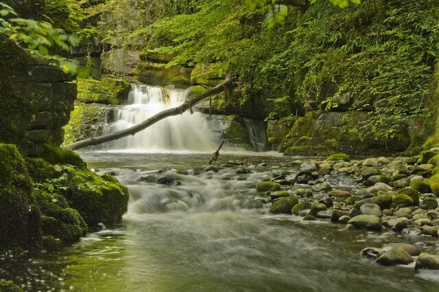 Una cascada en un área boscosa con rocas cubiertas de musgo y un arroyo que fluye.