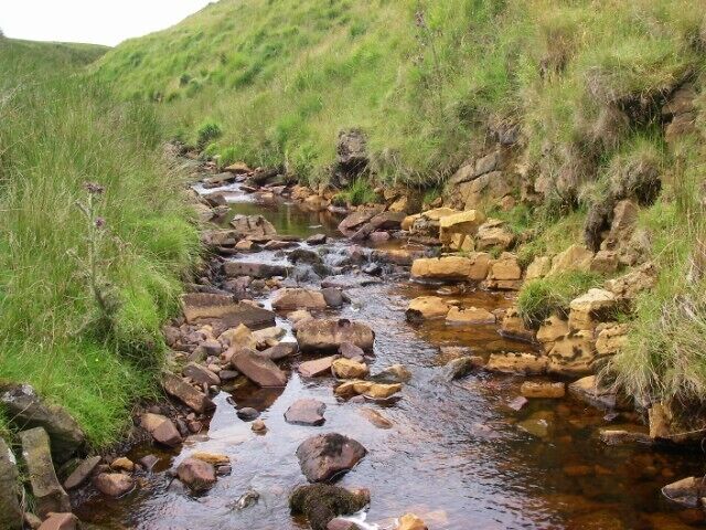 A rocky stream with water flowing over rocks in a grassy area.