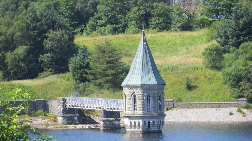 The Fairy House on the Lake - 27th July 2012