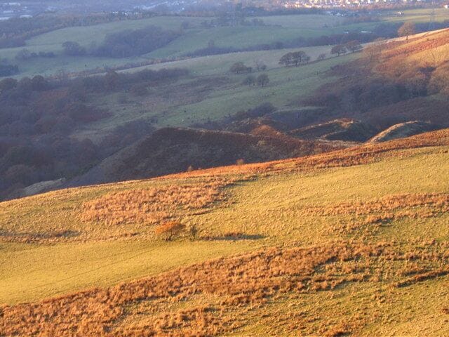 Dan yr Odin tip from Mynydd Gilfach yr encil Dan Yr Odin tip aka The Crows Foot is the former tip of Troedyrhiw pit and is now covered in heather. It is an important "thermal trigger" used by the local hangglider and paraglider pilots.