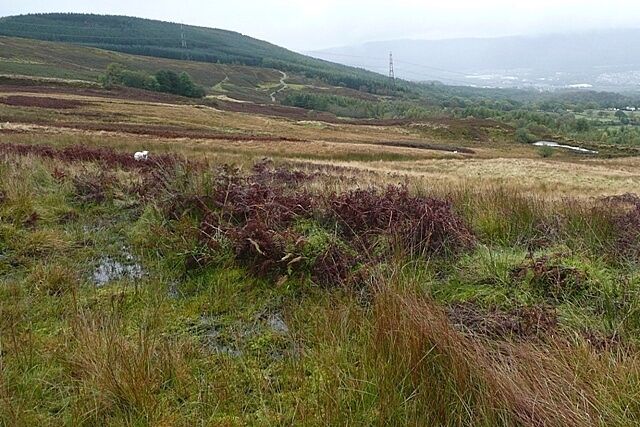 Aberdare East