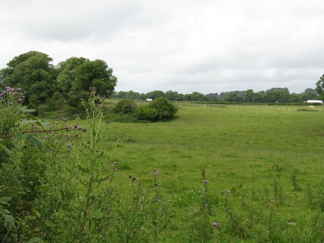 Field Near Milton