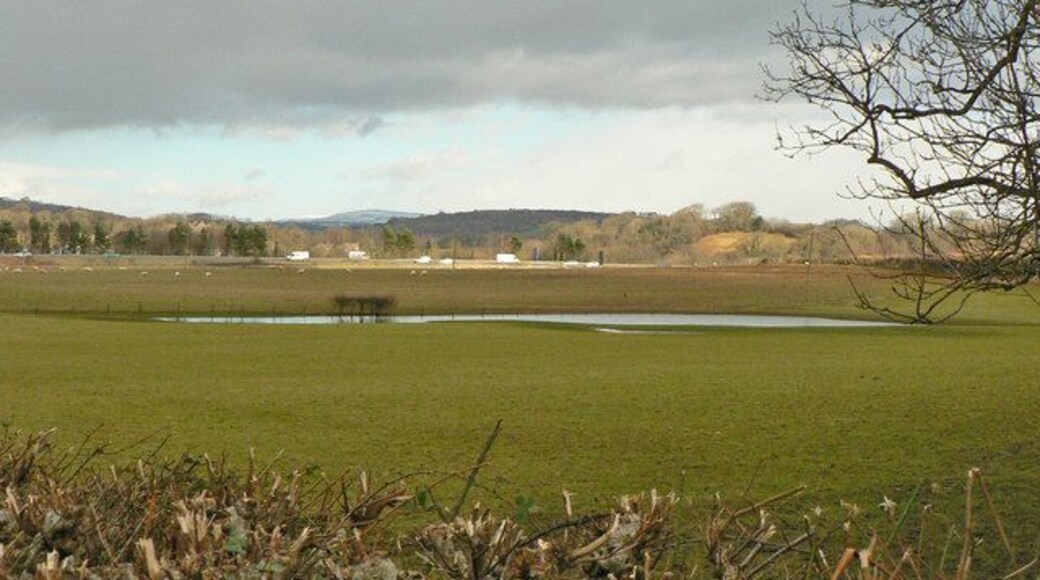 Flooded field beside the M4