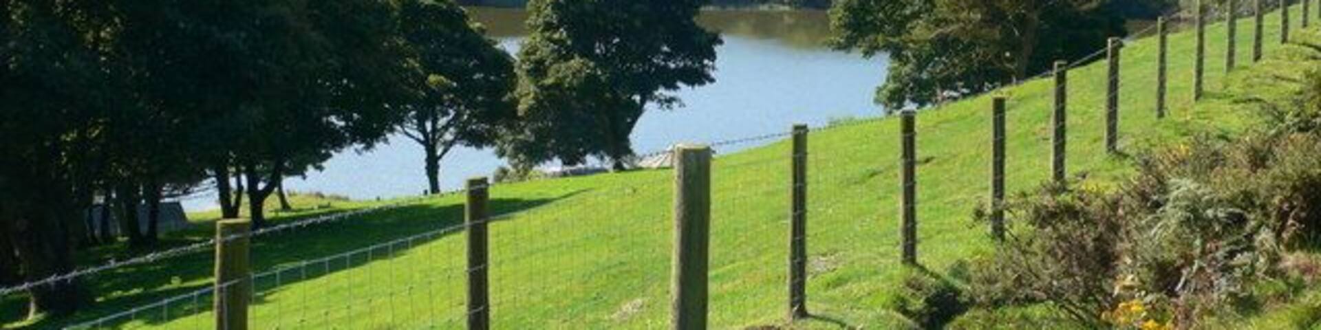 Llyn Gweryd Llyn Gweryd in the shadow of Moel y Plâs, where there is excellent fishing for carp.