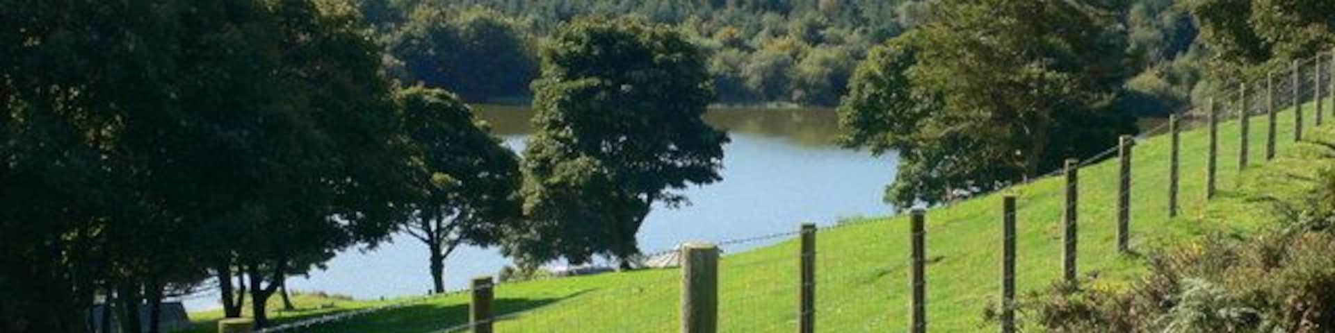 Llyn Gweryd Llyn Gweryd in the shadow of Moel y Plâs, where there is excellent fishing for carp.