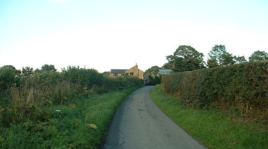 Lane to Ty'n-y-groesffordd. "Ty'n-y-groesffordd" means "house at the crossroads". Which it is. Looking east.