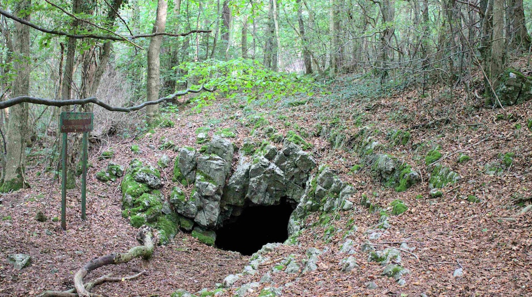 The Big Covert Cave, Maeshafn, Denbighshire, Wales. Bronze Age remains. (PRN 102318)