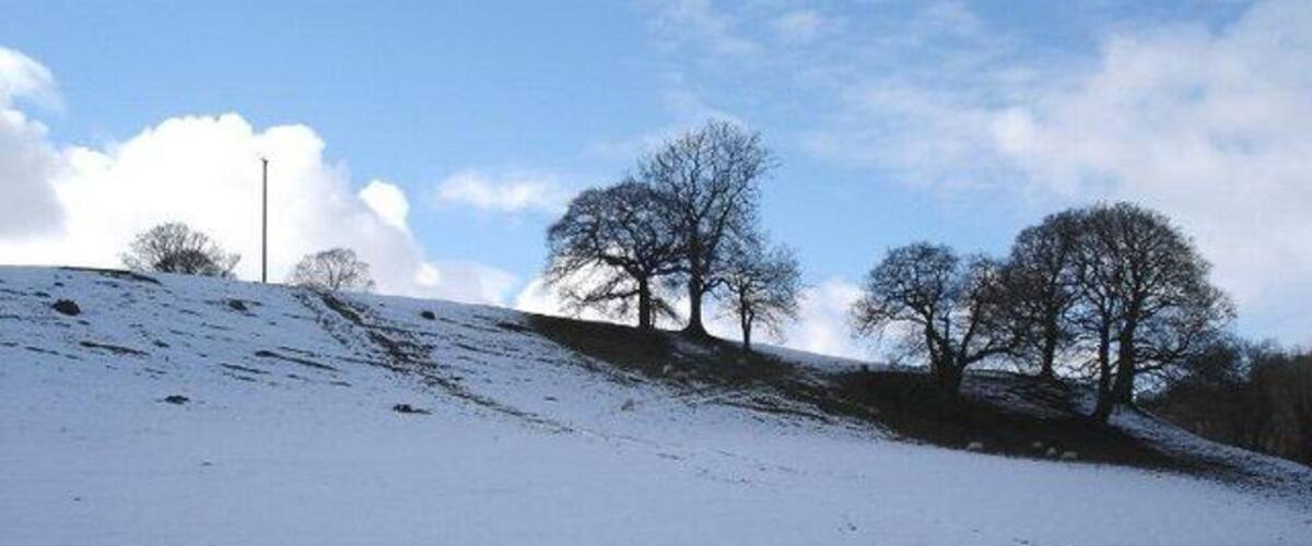A snow-covered hill with bare trees and a clear sky.